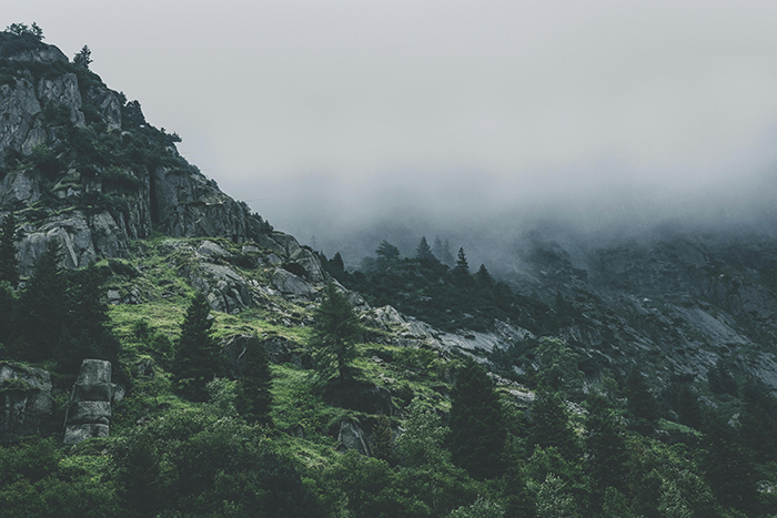 Montaña con neblina