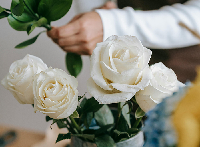 Una persona armando un ramo de rosas blancas